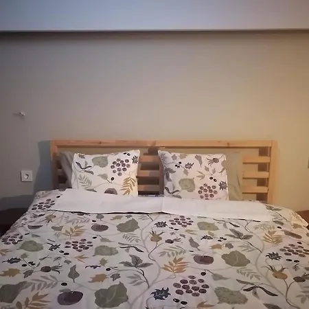 1 In Lejlighed Kateríni