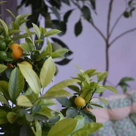 Lejlighed 1 In Kateríni